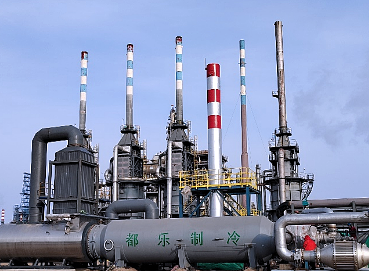 山東壽光魯清石化有限公司VOCs治理項(xiàng)目